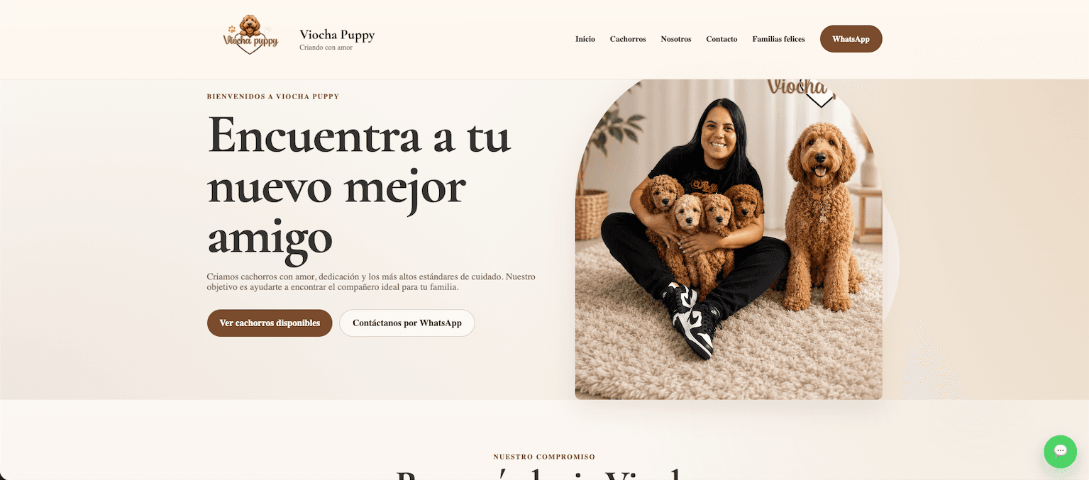 Viocha Puppy website by MorLabs
